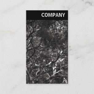 V Header - Japanese Branches 01 Business Card