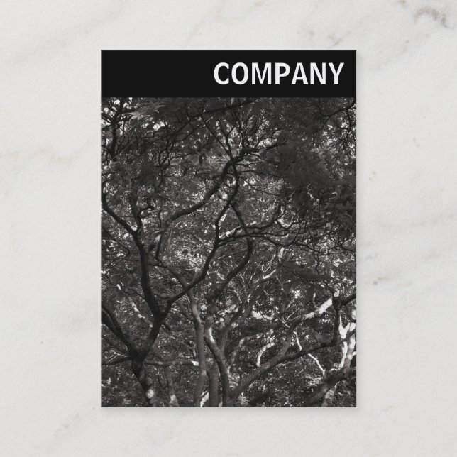 V Header - Japanese Branches 01 Business Card (Front)