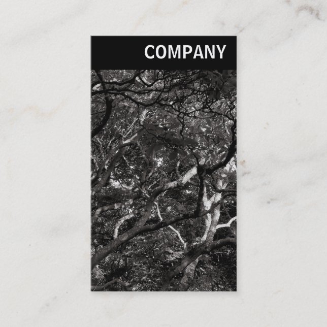 V Header - Japanese Branches 03 Business Card (Front)