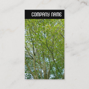 V Header - Japanese Maple Business Card