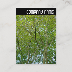V Header - Japanese Maple Business Card