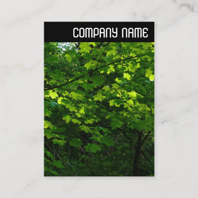 V Header - Leaves in Spring Business Card (Front)