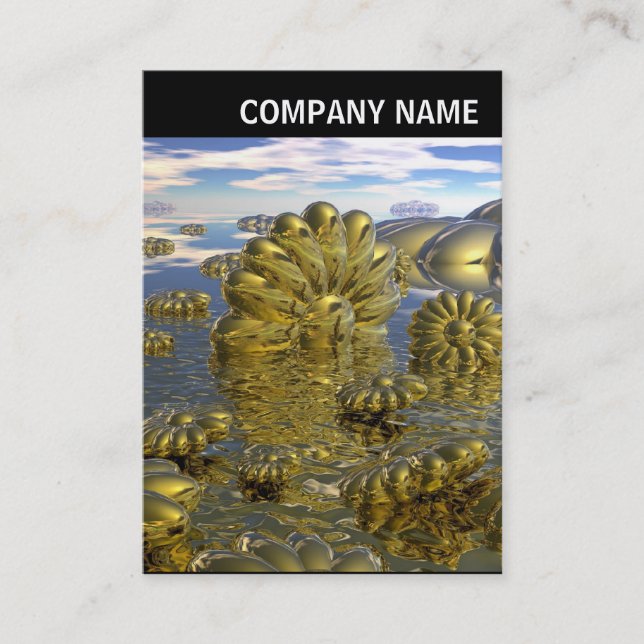 V Header - Photo - Land of Midas Business Card (Front)