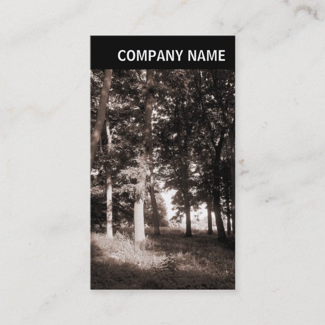 V Header - Photo - Park Landscape Business Card (Front)