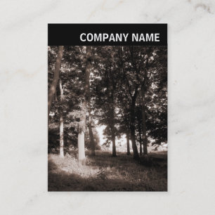 V Header - Photo - Park Landscape Business Card