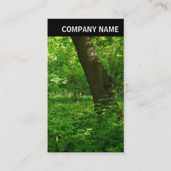 V Header - Photo - Spring In The Woods Business Card by artberry at Zazzle