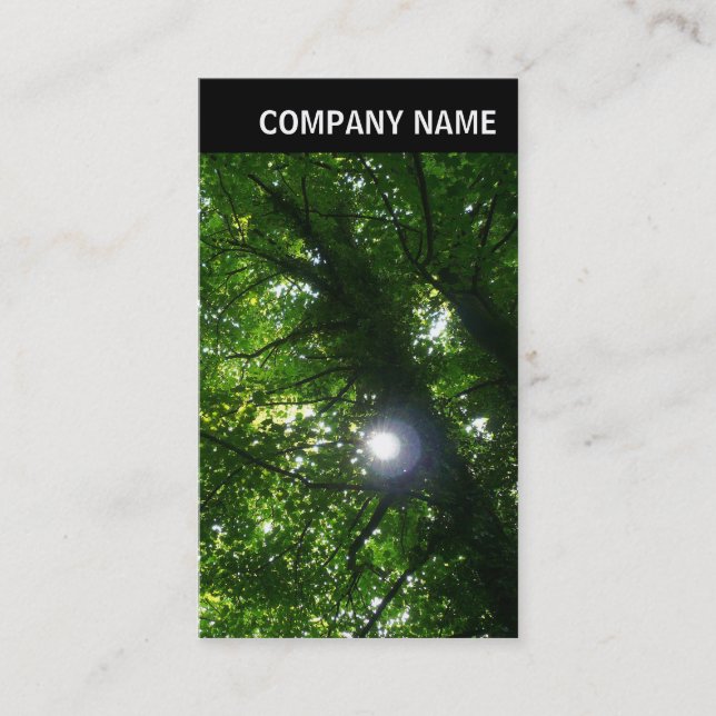V Header - Photo - Sun in The Trees Business Card (Front)