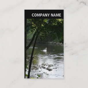 V Header - Photo - Swan on the River Business Card