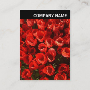 V Header - Photo - Tulips Business Card