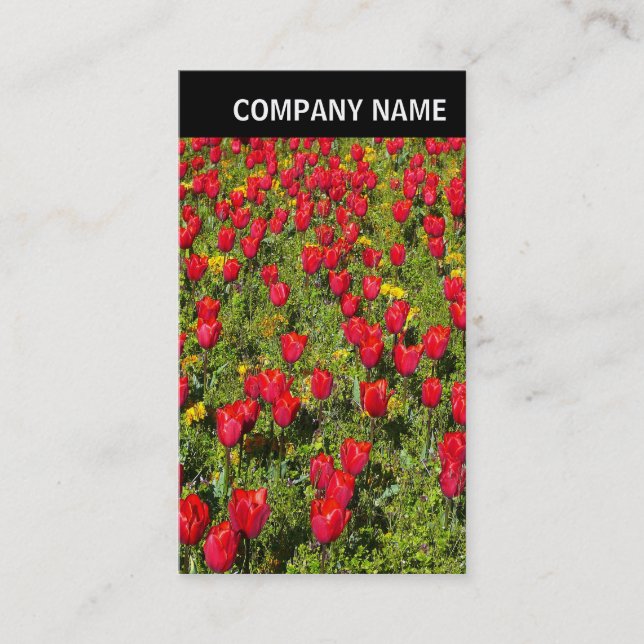 V Header - Photo - Tulips Business Card (Front)