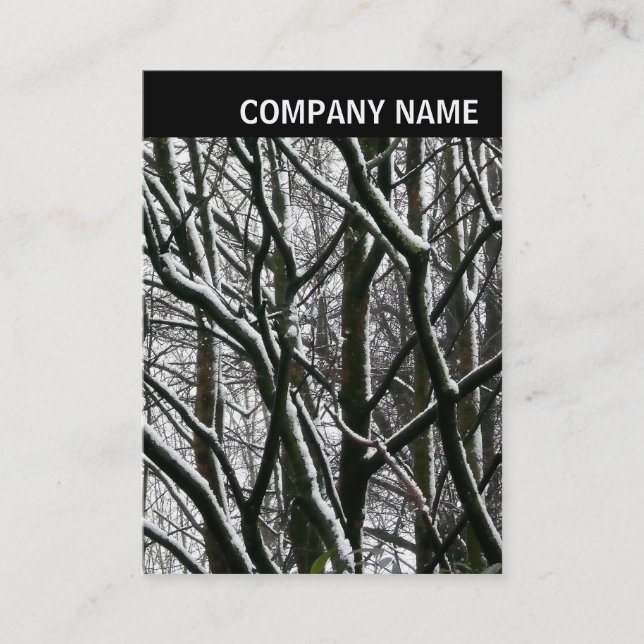 V Header - Photo - Winter Branches Business Card (Front)