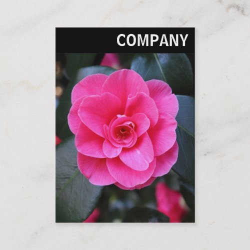 V Header _ Pink Camellia Business Card