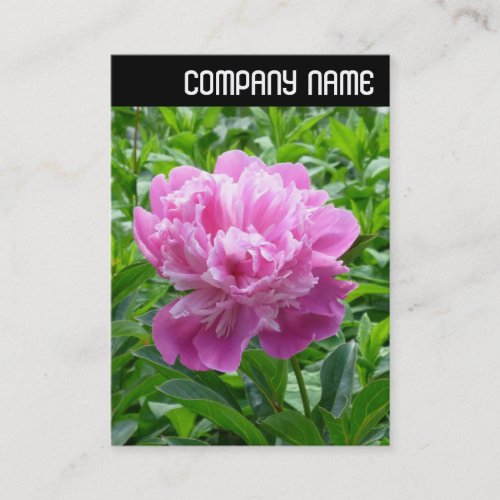 V Header _ Pink Peony Business Card