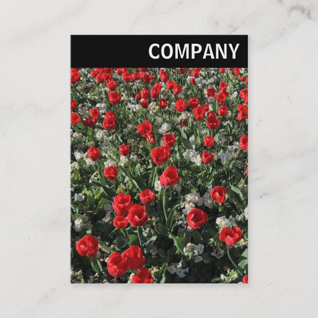 V Header - Red Tulips and Primroses Business Card (Front)