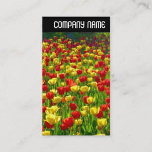 V Header - Sea of Tulips Business Card