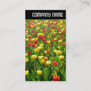 V Header - Sea of Tulips II Business Card