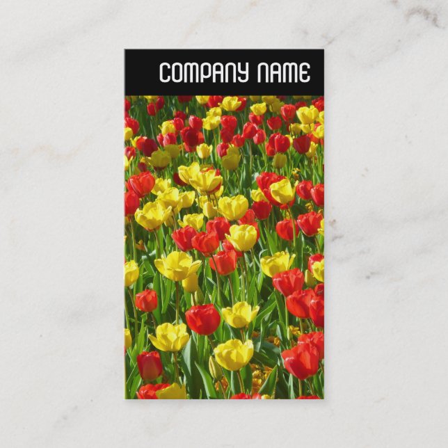 V Header - Sea of Tulips III Business Card (Front)