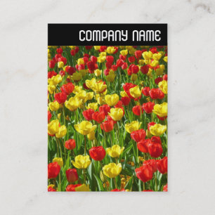 V Header - Sea of Tulips III Business Card