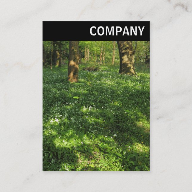 V Header - Spring in the Woods Business Card (Front)