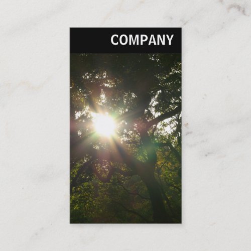 V Header _ Sun in the Trees Business Card