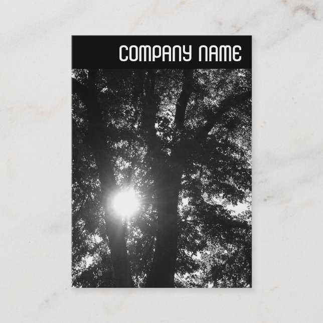 V Header - Sun Through Trees B&W Business Card (Front)