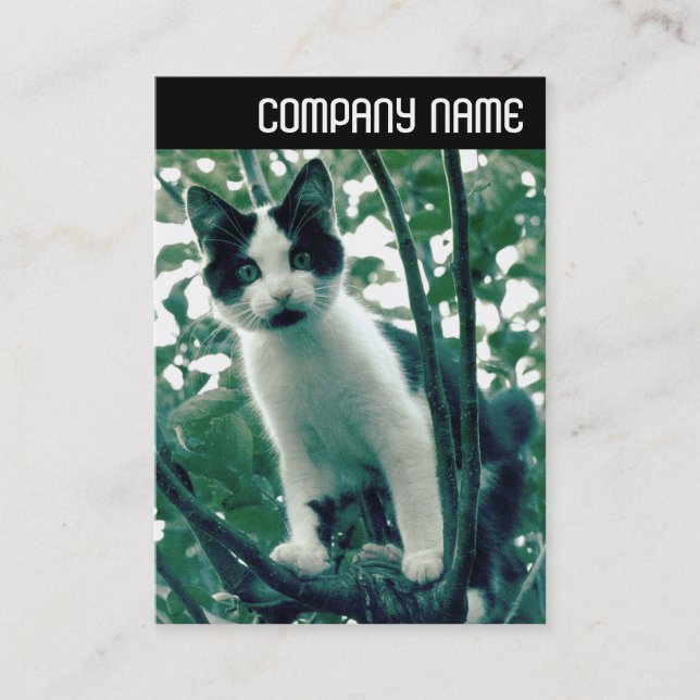 V Header - Superfluity of Naughtiness Business Card (Front)