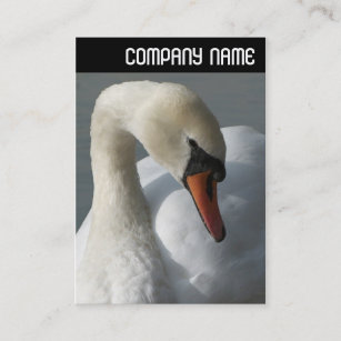 V Header - Swan Business Card