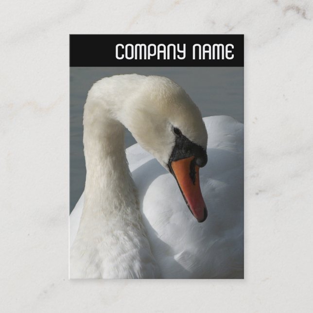 V Header - Swan Business Card (Front)