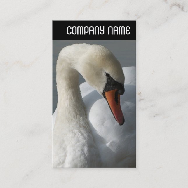 V Header - Swan Business Card (Front)