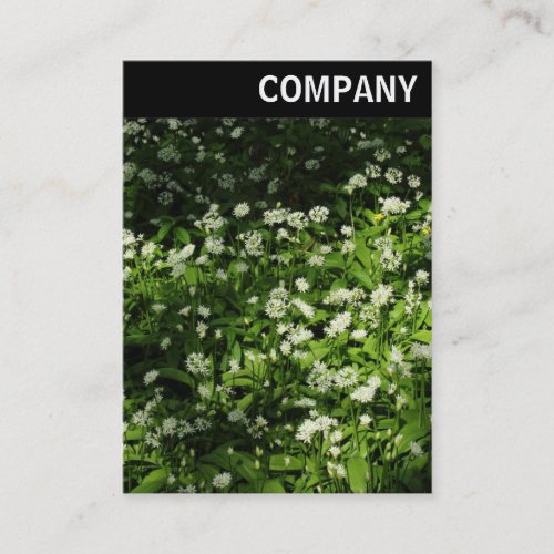 V Header _ Wild Garlic Business Card