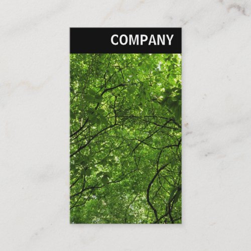 V Header _ Woodland Canopy Business Card