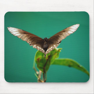 V Mousepad