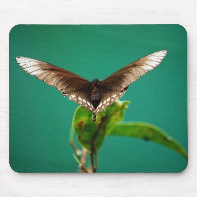 V Mousepad (Front)