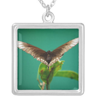 V Necklace