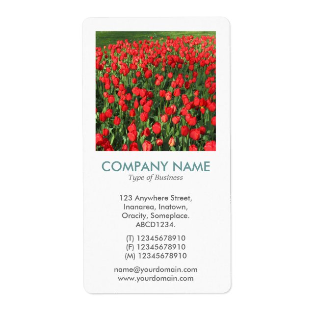 V Square Photo - Bed of Red Tulips 02 Label (Front)