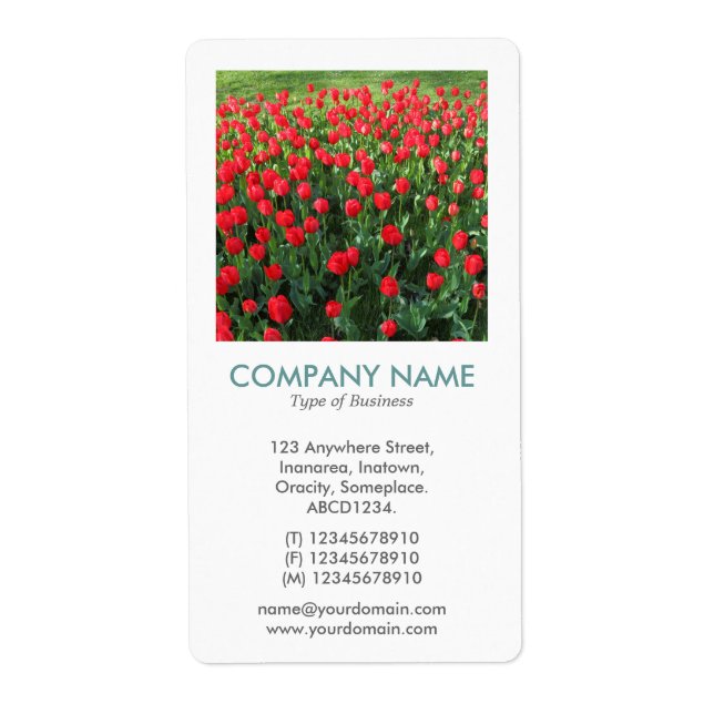 V Square Photo - Bed of Red Tulips Label (Front)
