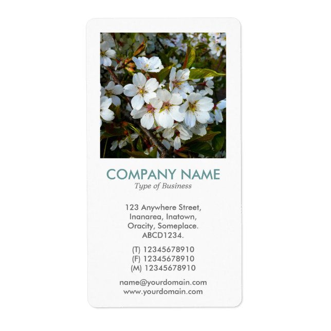 V Square Photo - Cherry Blossom Label (Front)