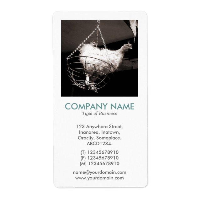 V Square Photo - Chicken in a Basket Label (Front)