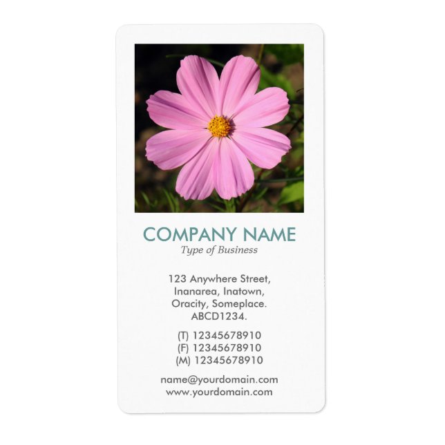 V Square Photo - Pink Cosmos Label (Front)
