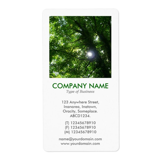 V Square Photo - Sun Through the Trees Label (Front)