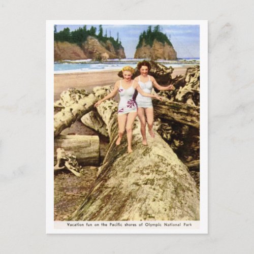 Vacation Fun Olympic National Park Vintage Postcard