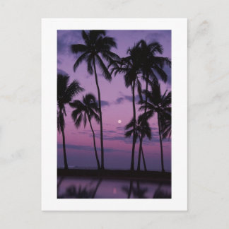 Vacation Time! Postcard