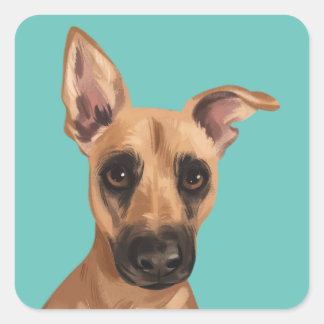 Vaden Jones Stickers