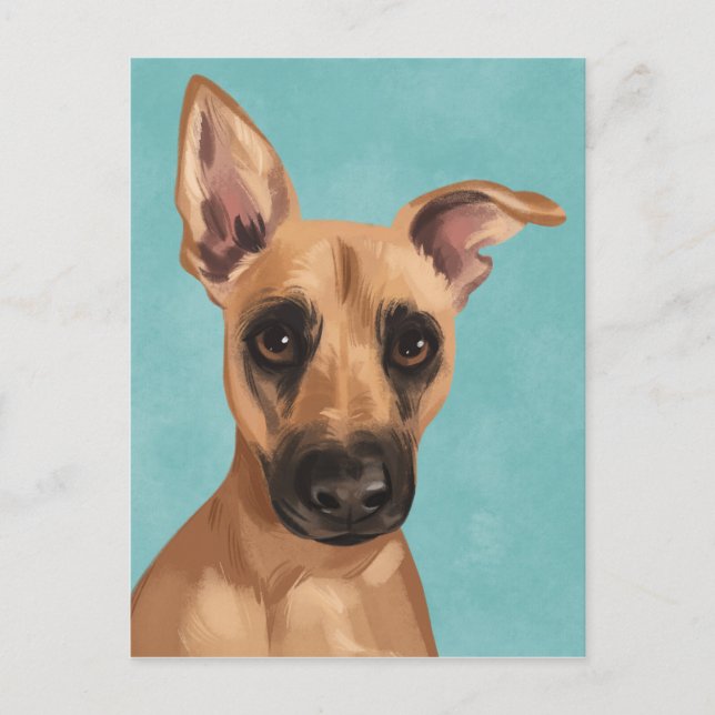 Vaden the Black Mouth Cur Postcard (Front)