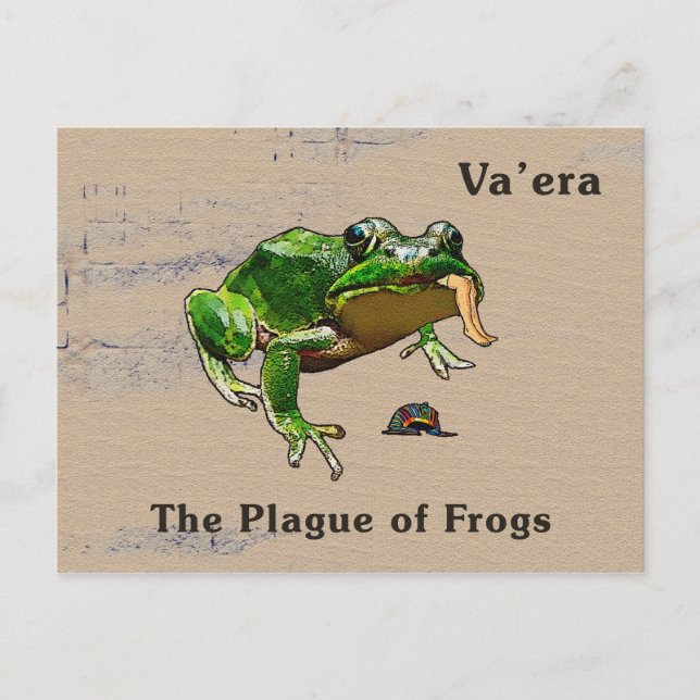 Va'era - Frogs Postcard (Front)