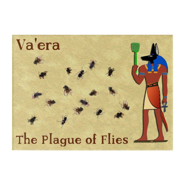Va'era - The Plague Of Flies Acrylic Print (Front)