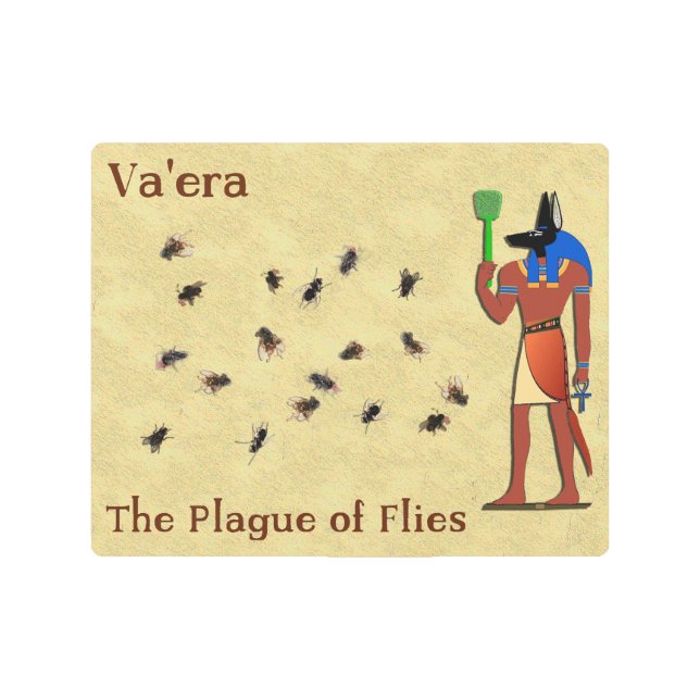 Va'era - The Plague Of Flies Metal Print (Front)