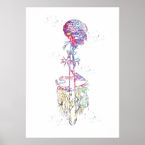 Vagus Nerve Art Poster