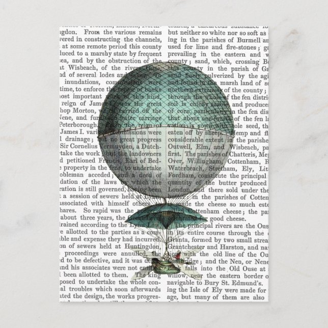 Vaisseau Volant Hot Air Balloon Postcard (Front)