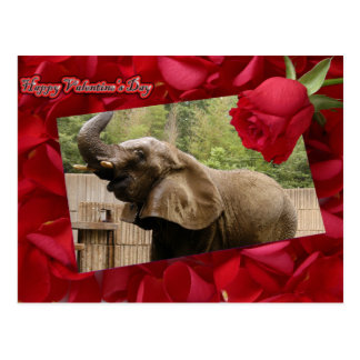 val-elephant-00025-6x4 postcard